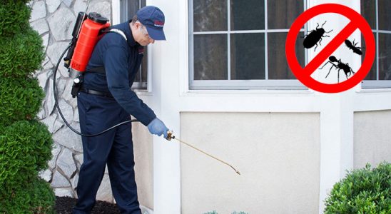 Tekkeköy Karınca İlaçlama böcek ilaçlama ve haşere kontrolü — ilaclama-tr.com